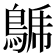 𪁦