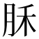 𣍩