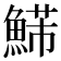 𩹩