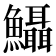 𩽪