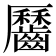 𪙪