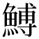 𩹲