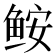 𩽾