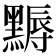 𪑾