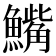 𫙾