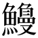 𫙿