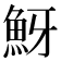𩶀