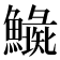 𩼍