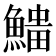 𩺅