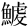 𩺇
