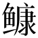 𩾌