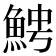 𩶍
