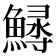 𩺎