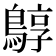 𪂎