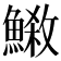 𩺕