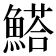 𩺗