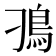 𩾗