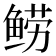 𬶗
