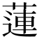 蓮