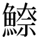 𩺚