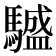 𩦝