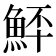 𩶨