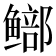 𫚨