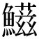 𩼑