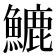 𩺮