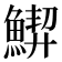 𱆵