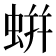 蛢