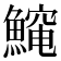 𱆻