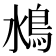 𩾼