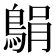 𫚼