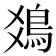 𩾾