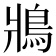 𩿄