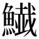 𩻅
