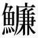 𩼔