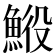 𩷍