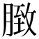 𦟔