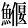 𩻖