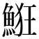 𩷗