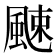 𩗣