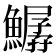 𩻣