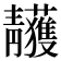 𩇥