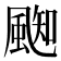 𩗨