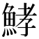 𩷨