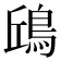 𩿨
