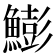 𩻬