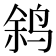 𫛬